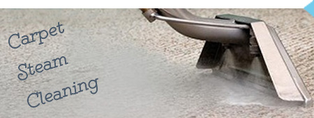 Carpet Steam Cleaners